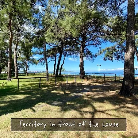 Villaonar1thasos Villa